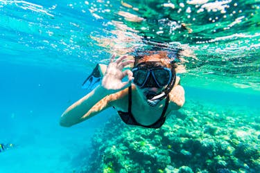 Viaggio di snorkeling con trasferimento di andata e ritorno da Dubai